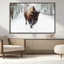 Bison Wall Art Canvas Print For Farmhouse, Animal Canvas