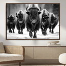 American Bison Art | Buffalo Herd Wall Art Canvas Print, BW