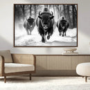 Buffalo Wall Art Canvas Print, Bison Family Wall Art Canvas by MyGreatCanvas | Canvas Wall Art Prints | Photo Prints & Wall Decor