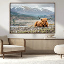 Highland Cow Horn Farm Wall Art Canvas Print