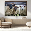 Charming Sheep Portrait Wall Art – Trio of Woolly Companions by MyGreatCanvas | Canvas Wall Art Prints | Photo Prints & Wall Decor