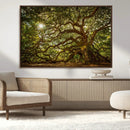 Ancient Angel Oak Tree Art Sunburst Canvas Print-
