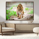 Leopard on the Prowl - Stunning Large Framed Leopard Wall