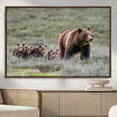 Wildlife Photography of 399 Grizzly Bear Cubs | Queen of the