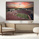 Indiana Memorial Stadium Wall Art Canvas Print, Framed