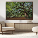Historic Tree Wall Art – Framed Mossy Branch Canvas Artwork, by MyGreatCanvas | Canvas Wall Art Prints | Photo Prints & Wall Decor