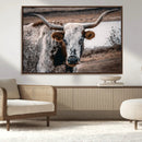 Texas Longhorn Wall Art Canvas Print – Framed Spotted Bull