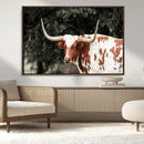 Texas Longhorn Wall Art Canvas Print – Framed Spotted Bull