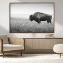 Bison Wall Art Canvas Print – Framed Rustic Wildlife Scene by MyGreatCanvas | Canvas Wall Art Prints | Photo Prints & Wall Decor