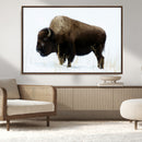 Bison Wall Art Canvas Print – Framed Western Wildlife