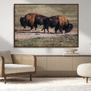 Bison Wall Art Canvas Print – Framed Western Wildlife Modern by MyGreatCanvas | Canvas Wall Art Prints | Photo Prints & Wall Decor