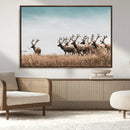 Elk Herd Wall Art Canvas Print – Framed Wildlife Photography