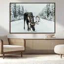 Moose Snow Wall Art Canvas Print – Framed Winter Wildlife