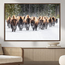 American Bison Herd Wall Art Canvas Print – Powerful Winter by MyGreatCanvas | Canvas Wall Art Prints | Photo Prints & Wall Decor