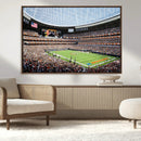 Chicago Bears Soldiers Field Wall Art Canvas Print – Framed