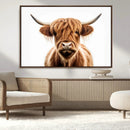 Scottish Highland Cow Canvas Print, Framed Highland Cow