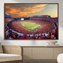 Dooley Stadium Wall Art, Sports Arena Canvas Print, Dooley by MyGreatCanvas | Canvas Wall Art Prints | Photo Prints & Wall Decor