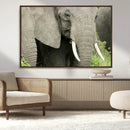 Wild Elephant Wall Art Canvas Print by MyGreatCanvas | Canvas Wall Art Prints | Photo Prints & Wall Decor