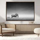 Elephand and Zebra Wall Art Canvas Print, Modern Artwork