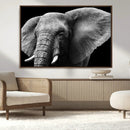 Big Elephant Close Up Wall Art Canvas Print