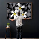 Plumeria Frangipani Black Stone Canvas | White Flower Spa by MyGreatCanvas | Canvas Wall Art Prints | Photo Prints & Wall Decor