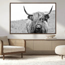 Newfoundland Cow Art Wall Art, Black White Cow Art Wall Art