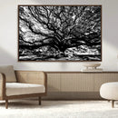 Mighty Angel Oak Wall Art | Angel Oak Tree Art Print by MyGreatCanvas | Canvas Wall Art Prints | Photo Prints & Wall Decor
