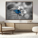 Blue Butterfly Black and White Canvas Wall Art by MyGreatCanvas | Canvas Wall Art Prints | Photo Prints & Wall Decor