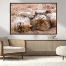 Lion Pair Wall Art Canvas Print – Framed Wildlife Scene with