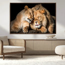 Lion and Lioness Wall Art Canvas Print – Framed African