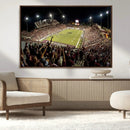 Washington-Grizzly Stadium Canvas Wall Art – Exciting Game