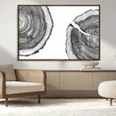 Abstract Large Tree Rings – Minimalist Black and White Wood