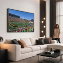 University of Missouri Tigers Football Team Print - Columbia