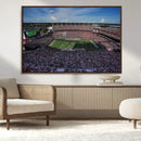 South Carolina Gamecocks Football Team Print - Columbia