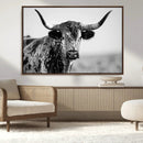 Texas Cow Longhorn Wall Art Canvas Print in Black and White