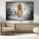 Jaguar Wall Art Canvas Print - Majestic Big Cat in Focused by MyGreatCanvas | Canvas Wall Art Prints | Photo Prints & Wall Decor