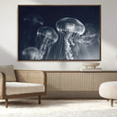 Jellyfish Wall Art Canvas Print, Modern Abstract Jellyfish