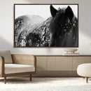 Black Horse in Snow Canvas Print | Winter Horse Wall Art |