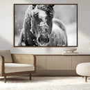 Black and White Horse Winter Wall Art | Ready to Hang and
