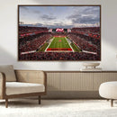 Florida Tampa Raymond James Stadium Wall Art Canvas Print -