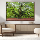 Framed Angel Oak Tree Wall Art - 3-Panel Canvas Prints,