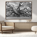 Black White Angel Oak Tree Wall Art - Timeless