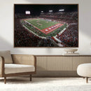 Houston Cougars Football Team Print - Houston TDECU Stadium