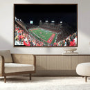 Houston Cougars Football Team Print - Houston TDECU Stadium by MyGreatCanvas | Canvas Wall Art Prints | Photo Prints & Wall Decor
