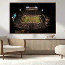 Wake Forest University Demon Deacons Canvas Printi, Football