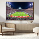 Wolfpack Football Team Print - Raleigh Carter-Finley Stadium