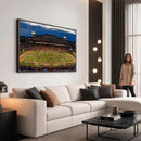University of Illinois Fighting Illini Football Team Print -