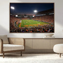 Clemson University Tigers Art Print, Football Team Print -