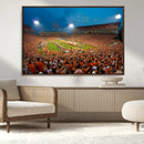 Clemson University Tigers Football Team Print - Clemson