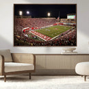 Indiana University Hoosiers Football Team Print Canvas